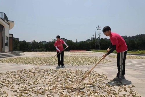 调研之余，志愿者们深入农户参与劳动