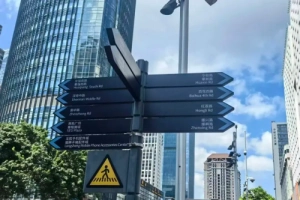 城市外文公示语提升“啄木鸟行动”