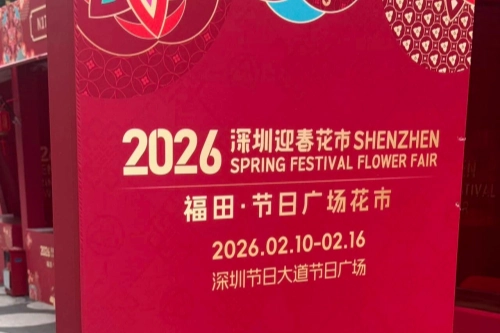 2026全民外文公示语纠错活动2月线下活动和1月线上活动赢家揭晓